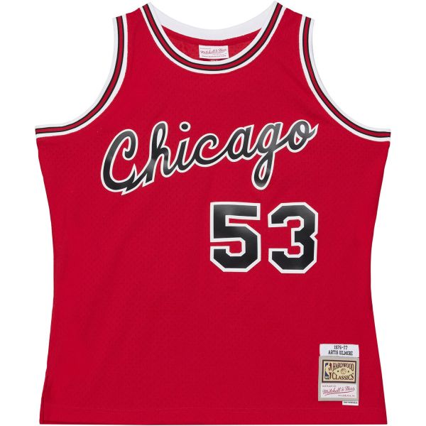 Swingman Mesh Jersey Chicago Bulls 1976 Artis Gilmore