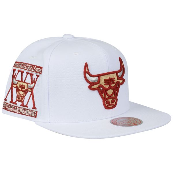 Mitchell & Ness Snapback Cap WINTER WHITE Chicago Bulls