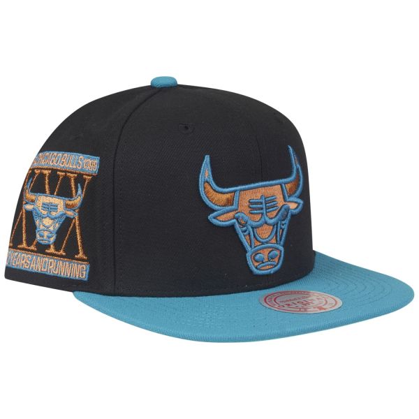 Mitchell & Ness Snapback Cap MAKE CENTS Chicago Bulls