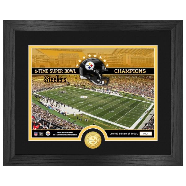 Pittsburgh Steelers NFL Stadion Golden Coin Bild 40x33cm