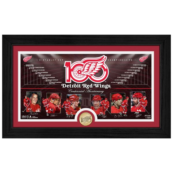 Detroit Red Wings 100th Anniversary Bronze Coin Bild Rahmen