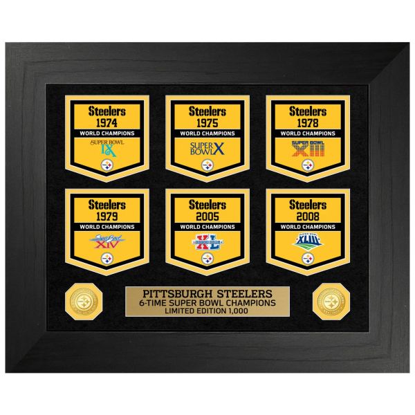 Pittsburgh Steelers Super Bowl Gold Coin Deluxe Banner