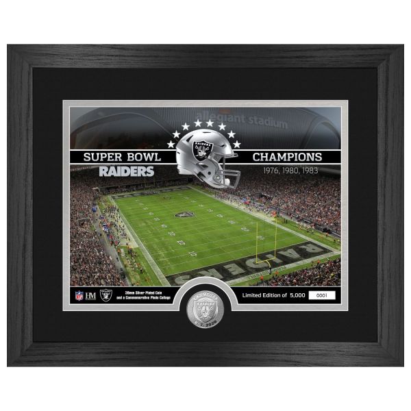 Las Vegas Raiders NFL Stadium Golden Coin Photo Mint