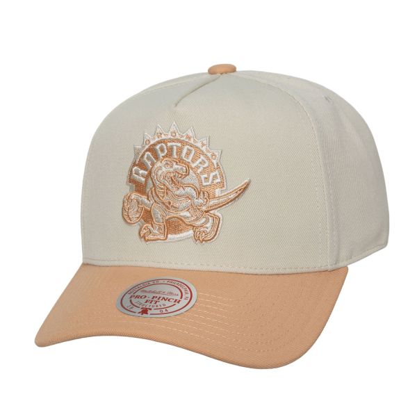 Mitchell & Ness Snapback Pro Cap - DUST Toronto Raptors