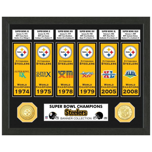 Pittsburgh Steelers Super Bowl Gold Coin Banner