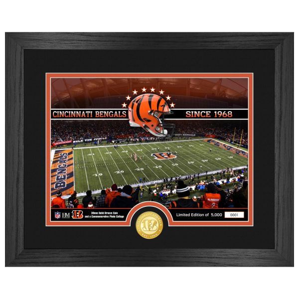 Cincinnati Bengals NFL Stadion Golden Coin Bild 40x33cm