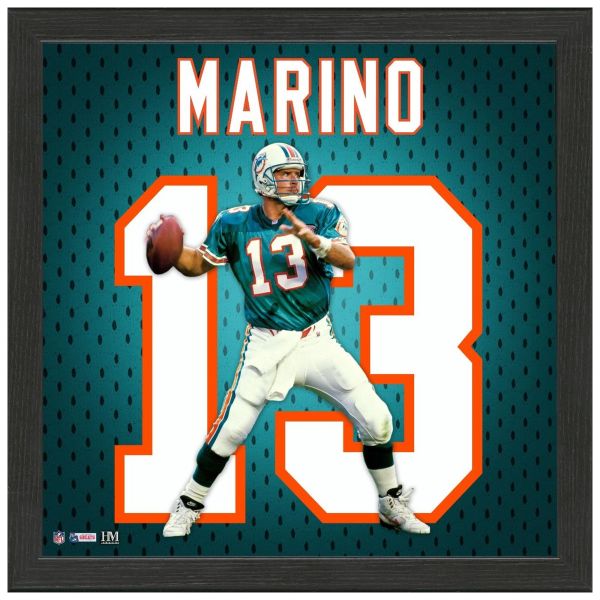Dan Marino Miami Dolphins Impact Jersey Frame Bild