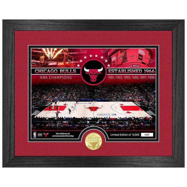 NBA Chicago Bulls Court Coin Photo Mint