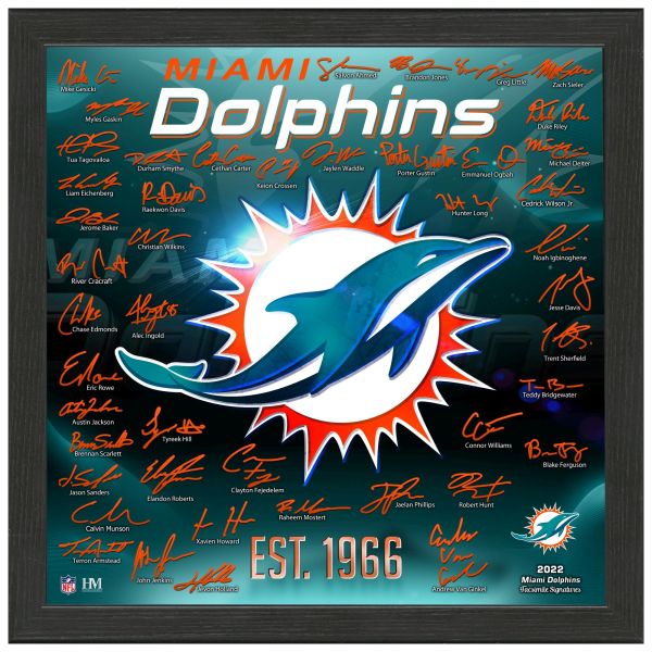 Miami Dolphins NFL Signature Logo Bild 33x33cm