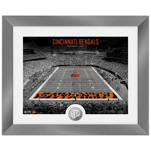 Cincinnati Bengals NFL Stadion Silber Coin Bild 40x33cm